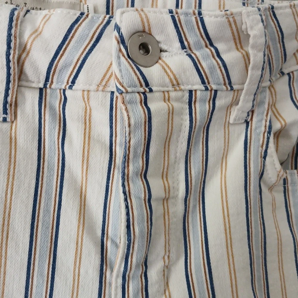 Anthropologie Pilcro Women's Size 27 High Rise Boot Cut Pants Raw Hem Striped